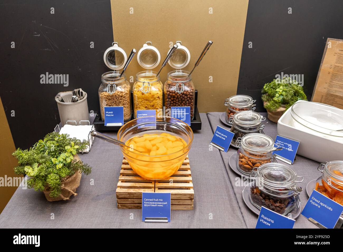 Luxuriöses Frühstücksbüfett mit verschiedenen Müsli und Cornflakes und frischem Obst in Dosen im Hotel Stockfoto