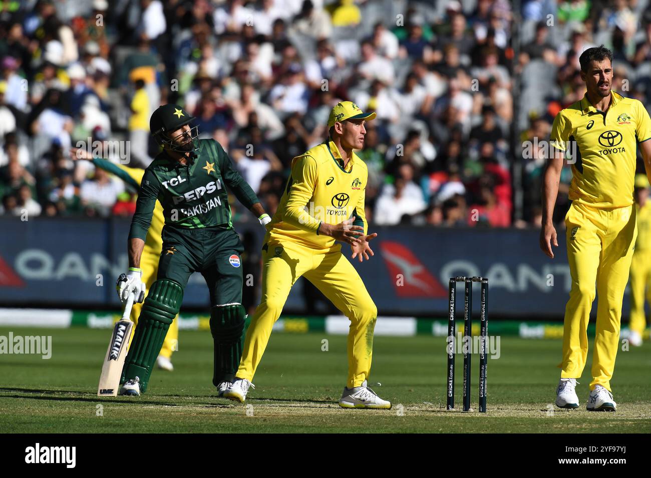 MELBOURNE AUSTRALIEN. November 2024. Im Bild: Australien Batter Marnus Labuschagne, Redlands Cricket Club Queensland während des ersten Tages des Cricket Matches Australia gegen Pakistan One Day International auf dem Melbourne Cricket Ground, Melbourne, Australien am 4. November 2024. Quelle: Karl Phillipson/Alamy Live News Stockfoto