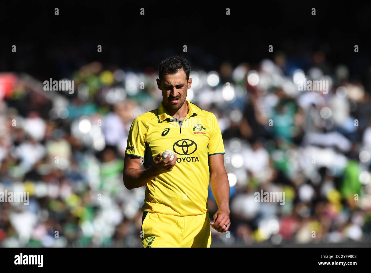 MELBOURNE AUSTRALIEN. November 2024. Im Bild: Australia Bowler Mitchell Starc, Manly Warringah Cricket Club New South Wales während des ersten Tages der Australia gegen Pakistan One Day International Series Cricket Match auf dem Melbourne Cricket Ground, Melbourne, Australien am 4. November 2024. Quelle: Karl Phillipson/Alamy Live News Stockfoto