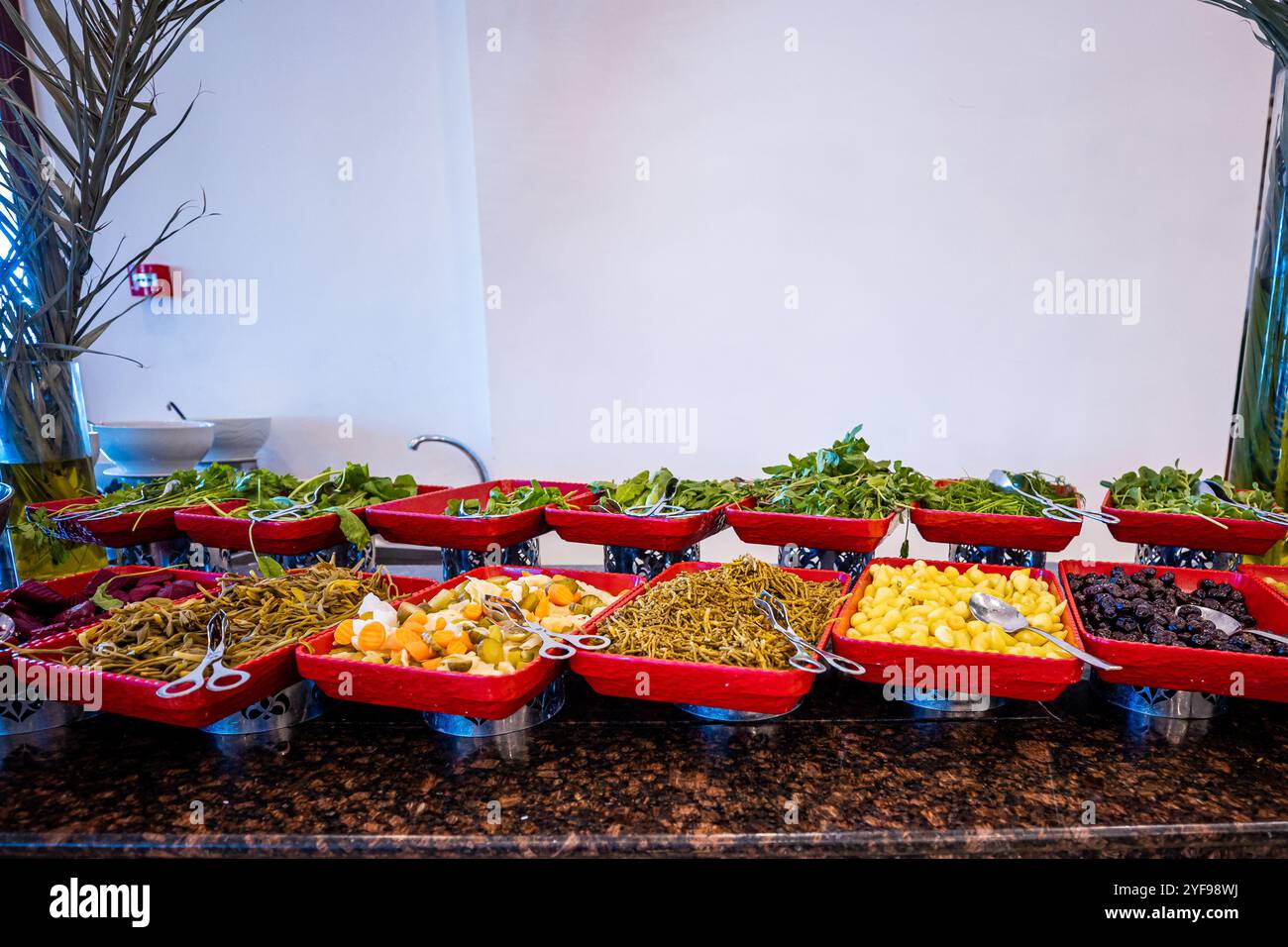 Frischer und gesunder Salat mit verschiedenen Gemüsesorten in einem Luxushotel. Gesundes Essen Optionen Stockfoto