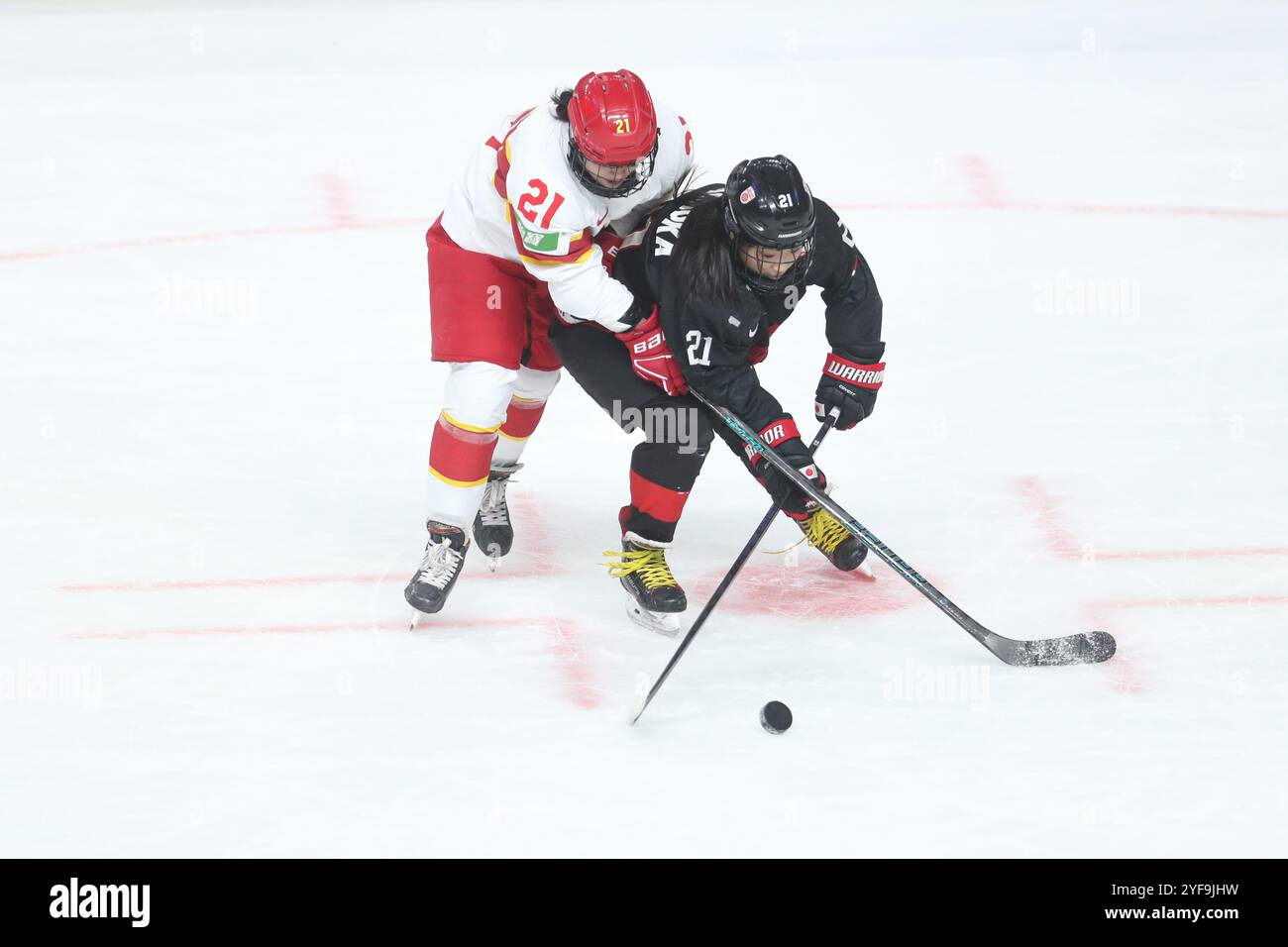 Beide Teammitglieder kämpfen heftig. Peking, China. 3. November 2024. Die erste Eishockey-Asienmeisterschaft der Frauen endete am 3. November 2024 in der Shougang Park Ice Hockey Arena in Peking. Die chinesische Eishockeymannschaft der Frauen gewann den zweiten Platz. Quelle: Zhang Xiangyi/China News Service/Alamy Live News Stockfoto