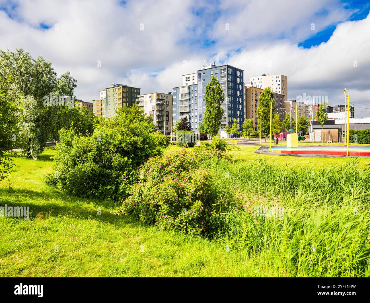 Üppig grüner Garten mit Wohngebäuden im Hintergrund Stockfoto