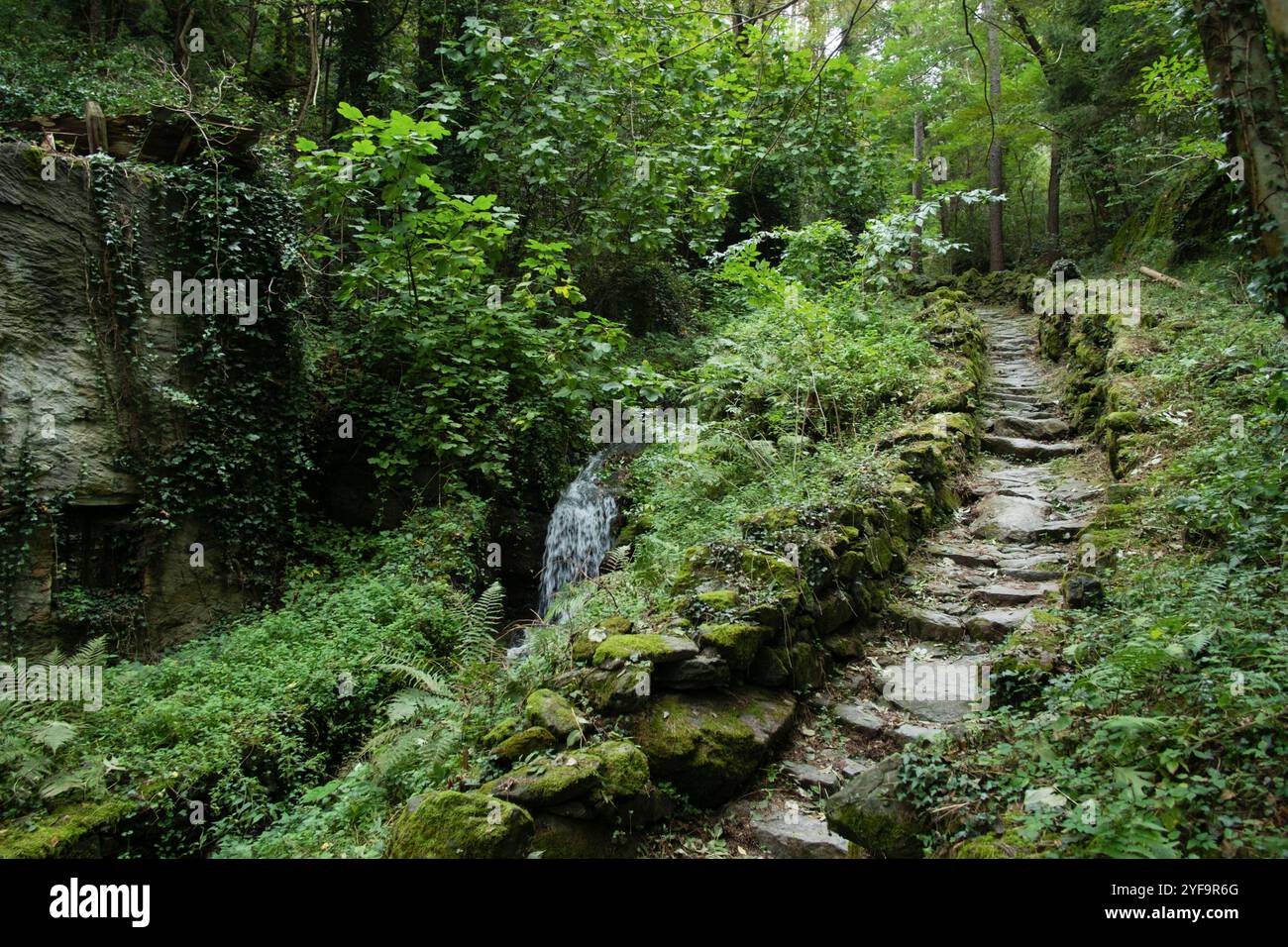 Ein Wanderpfad führt auf einen Aussichtsfelsen am Stadtrand von Chiavenna, Lombardei, Italien. Wanderweg im Grünen *** Ein Wanderweg führt zu einem Aussichtsfelsen am Stadtrand von Chiavenna, Lombardei, Italien Wanderweg im Grünen Stockfoto