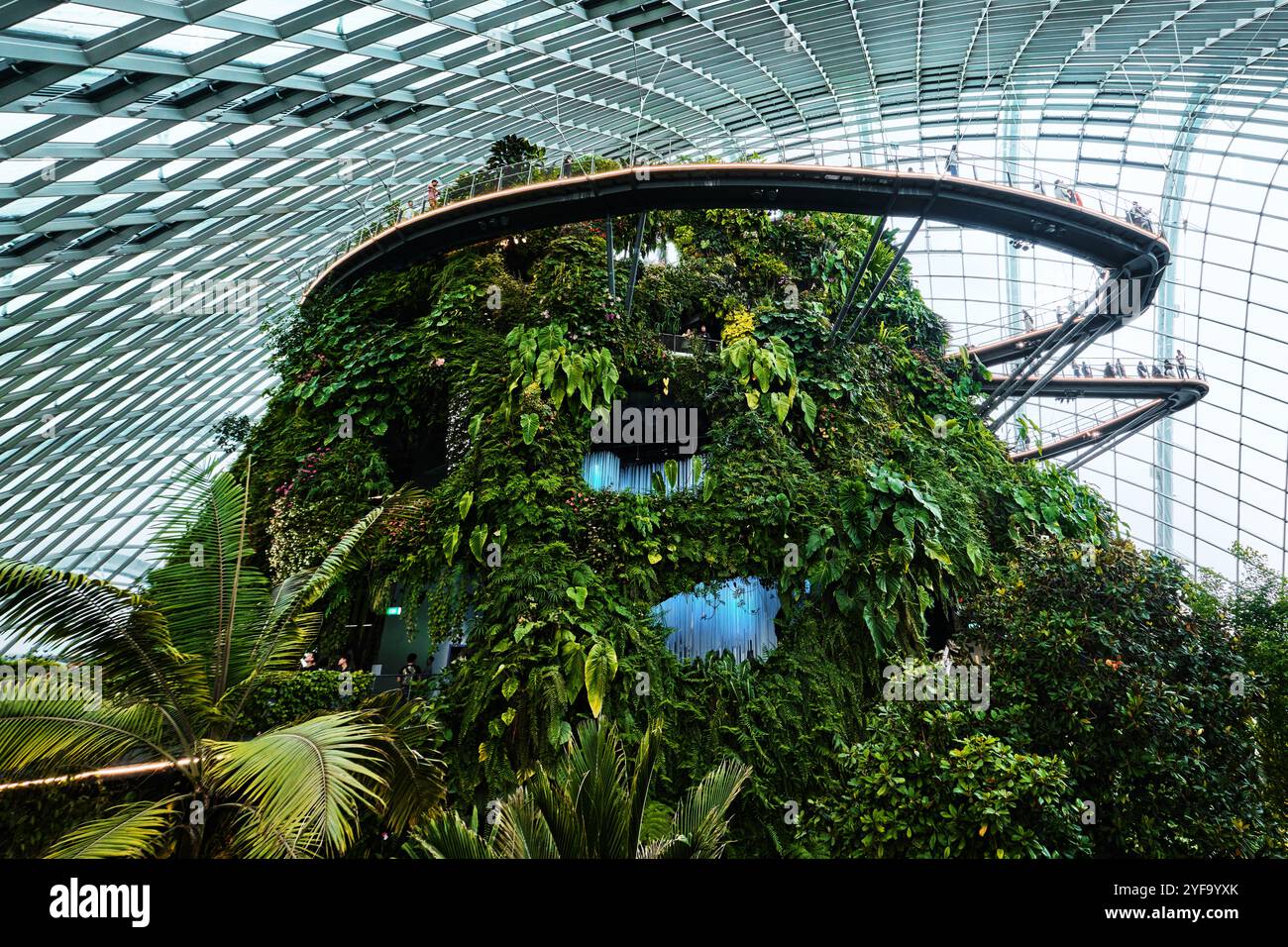 Singapur - 18. August 2024: Cloud Forest and Flower Dome Gewächshäuser in Gardens by the Bay Stockfoto