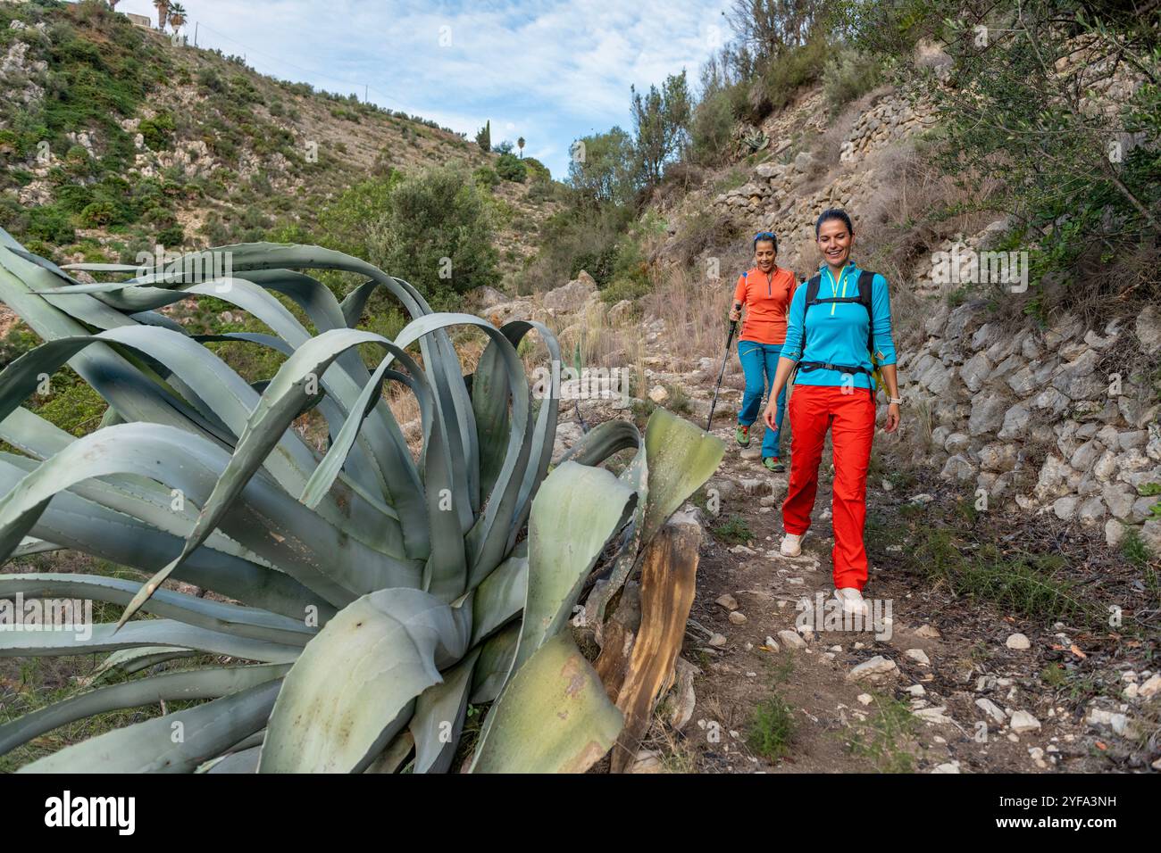 Weibliche Wanderer mit Stangen auf einem Bergweg Stockfoto