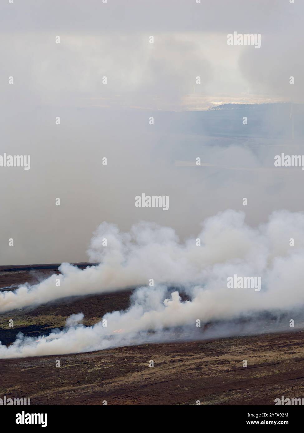 Heidekraut brennen, von Wildhütern, um junge Heidekraut zu fördern, die für Auerhühner geeignet sind. North Pennines, November 2024 Stockfoto