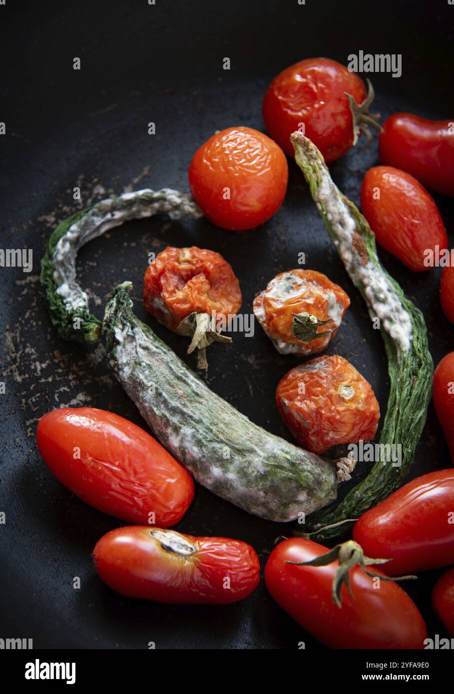 Schimmelige und zerknitterte faule Tomaten und Gurken. Ungesundes, verwesendes, verdorbenes Gemüse. Müllhalde, verdorbenes Essen auf schwarzem Hintergrund. Draufsicht. C Stockfoto