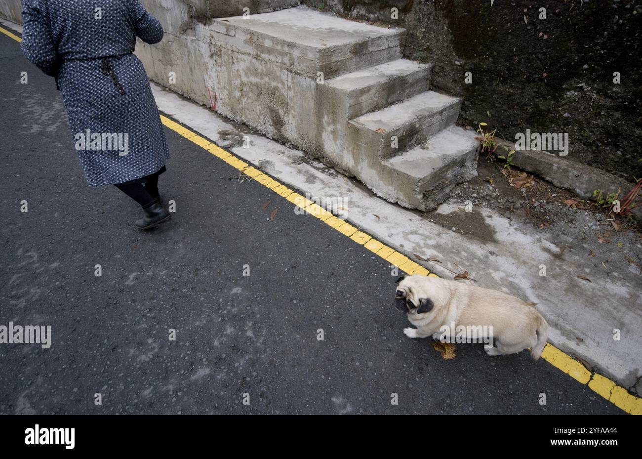 Eine Seniorin und ihr Freund Hund laufen in den Straßen eines traditionellen Dorfes auf zypern Stockfoto