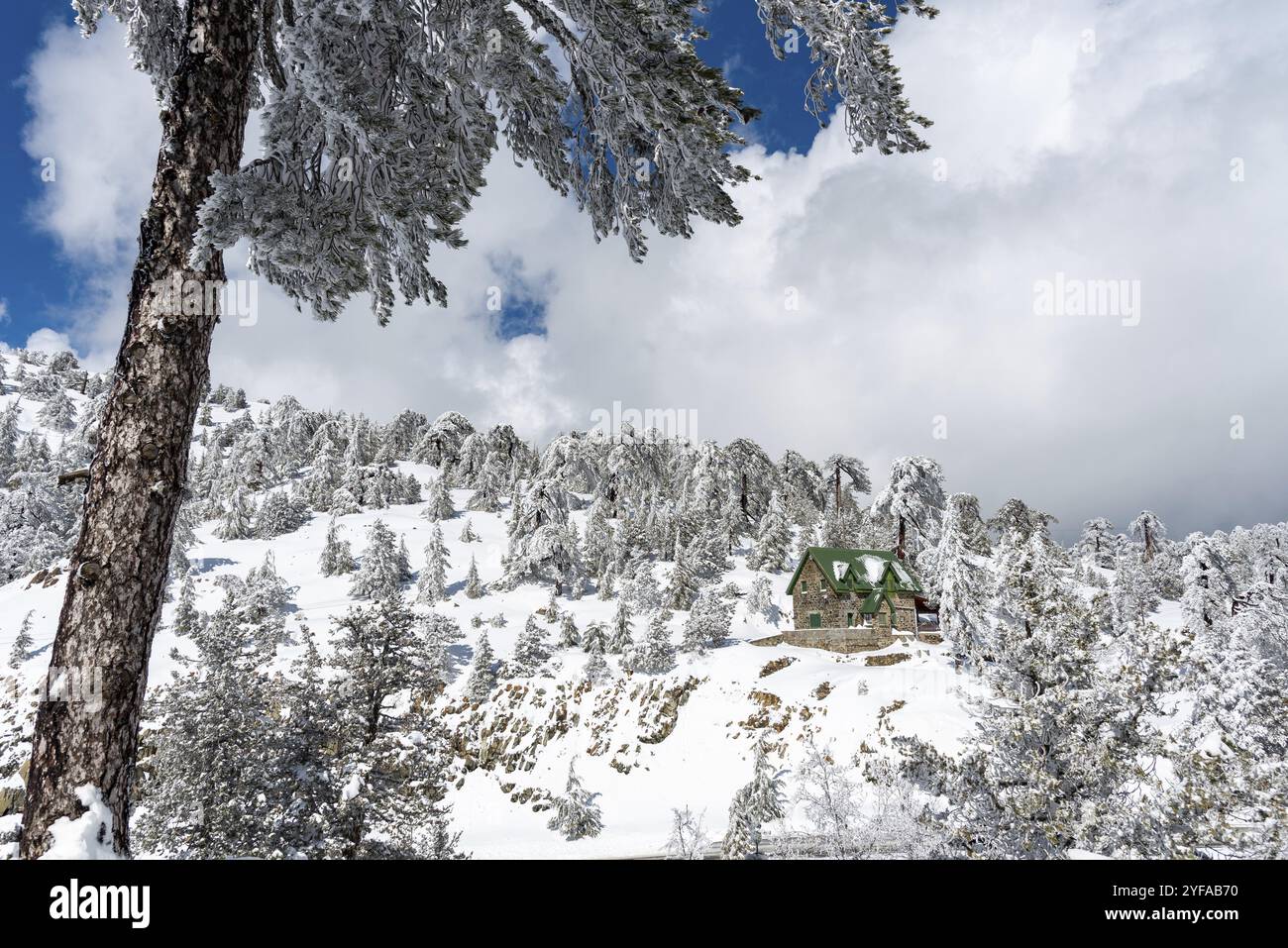 Winterschneelandschaft in den Bergen. Tanne bedeckt mit Schnee. Ferienchalet im Wald am Berghang. Troodos Zypern Stockfoto