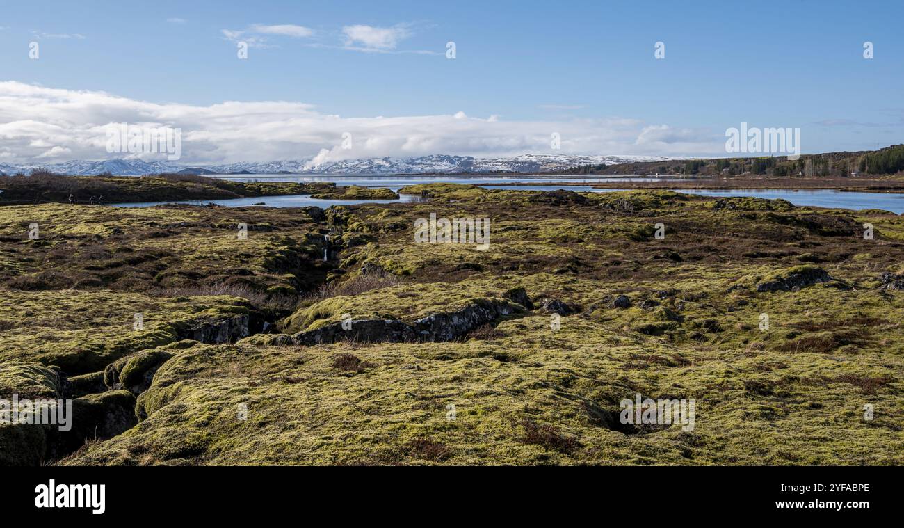 Der Thingvellir-Nationalpark, Teil des Goldenen Kreises in Island. Der Park liegt in einem Grabenbruch, der durch die Trennung von zwei tektonischen Platten verursacht wurde Stockfoto