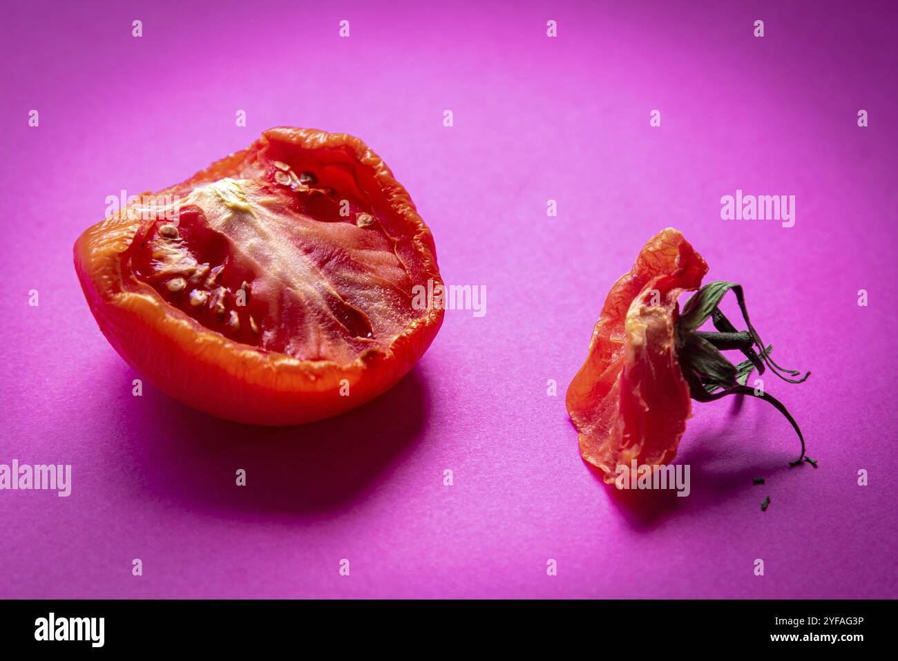 Ein Stück verfaultes, ungesundes rotes Tomatengemüse, isoliert auf magentafarbenem Hintergrund Stockfoto