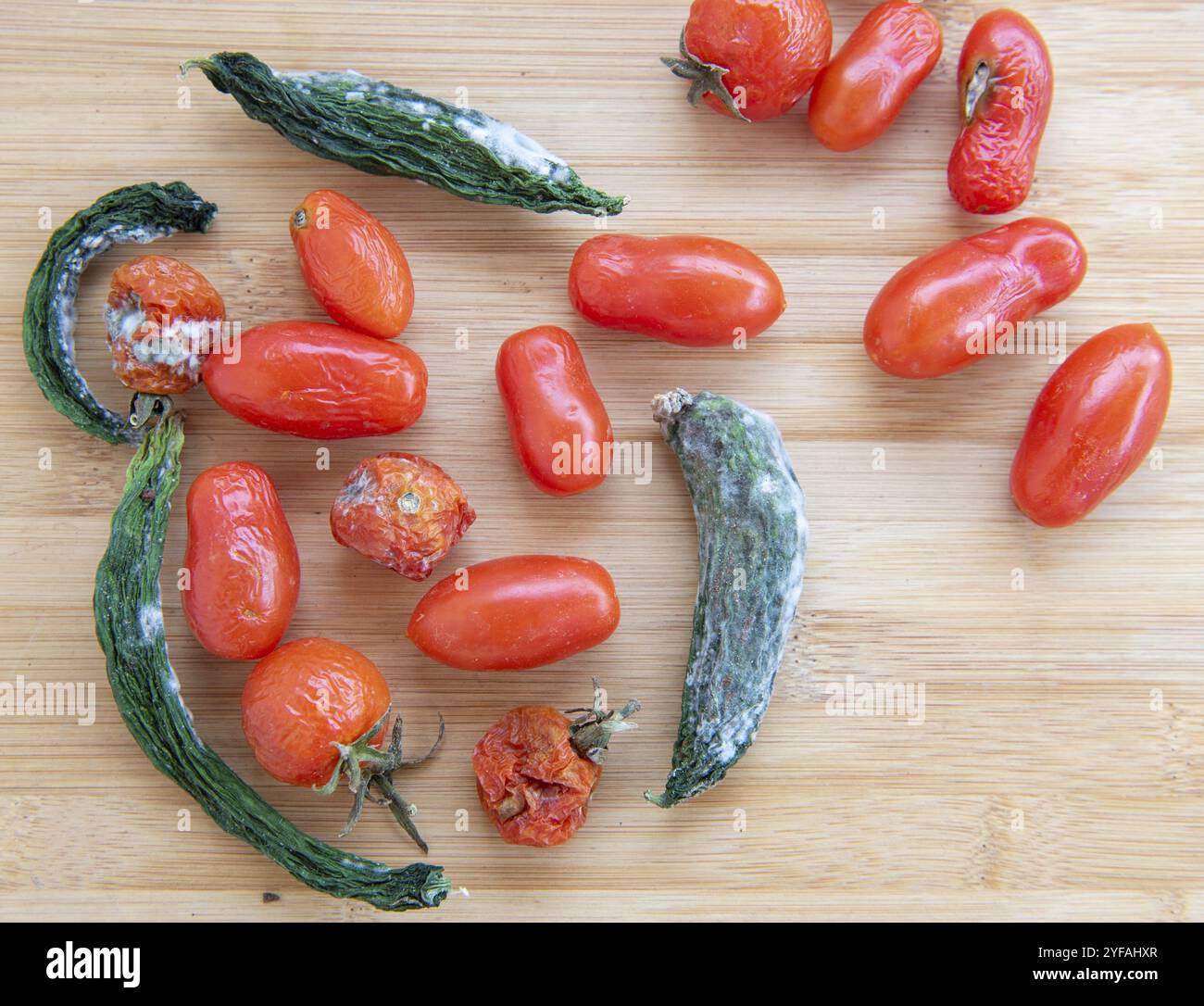 Schimmelige und zerknitterte faule Tomaten und Gurken. Ungesundes, verwesendes, verdorbenes Gemüse. Müllhalde verdorbenes Essen auf Holzhintergrund. Draufsicht. Stockfoto