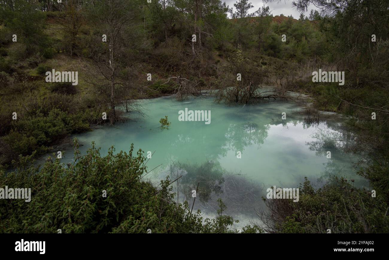 Bergwald Seenlandschaft. Blue Water Natural Reservoir mit Kiefernwald Stockfoto