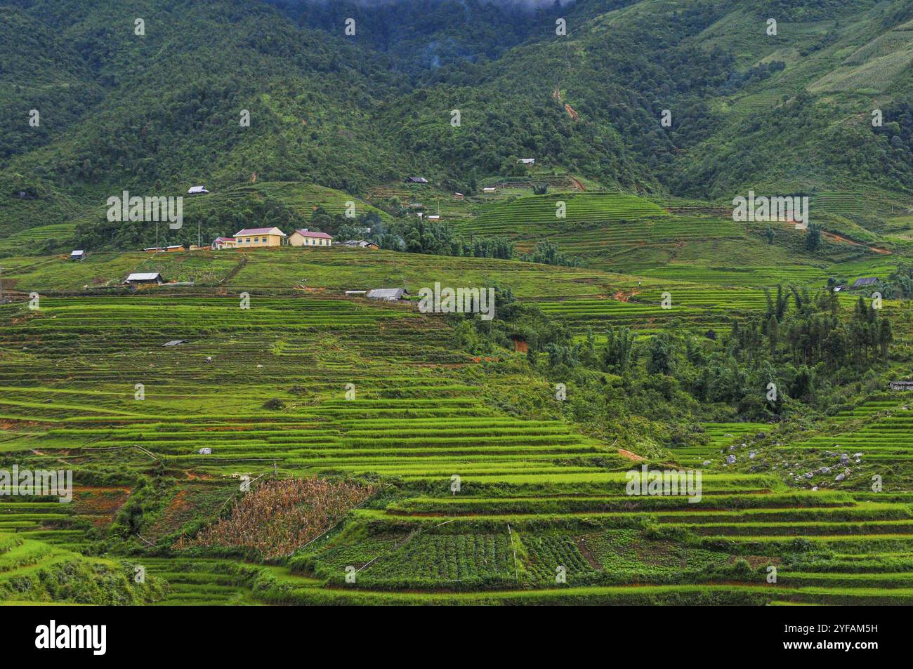 Vietnamesische Berglandschaft mit Reisfeldern und kleinen Dörfern in den Bergen von Sapa in Vietnam Asien Stockfoto