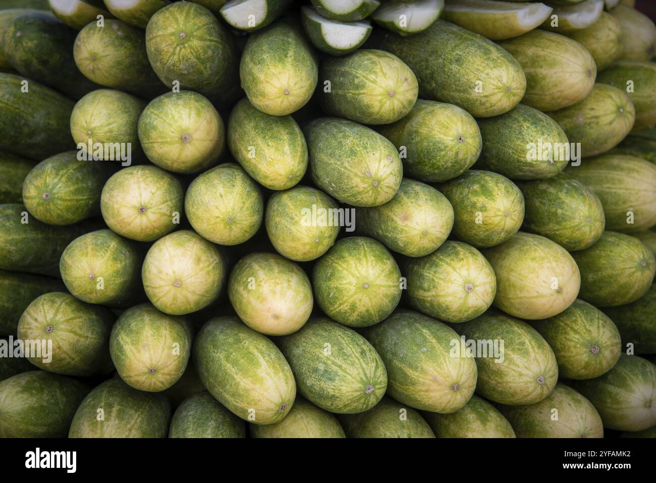 Gruppe von frischem Gurkengemüse in einem Stapel auf einem Obstmarkt. Gesunde kalorienarme Ernährung Stockfoto