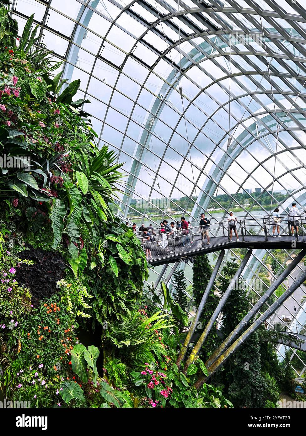 Singapur - 18. August 2024: Cloud Forest and Flower Dome Gewächshäuser in Gardens by the Bay Stockfoto