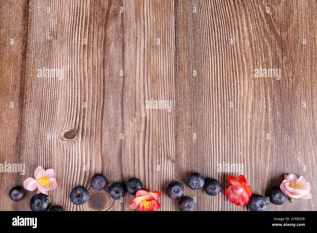 Aus der Vogelperspektive eines dunklen Holztisches mit Blaubeeren und hellen Blumen, die unten angeordnet sind und ein frisches und farbenfrohes Display hervorheben Stockfoto