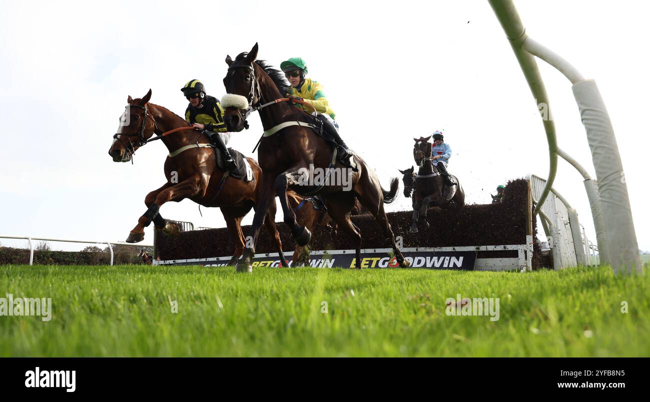 Plumpton, Großbritannien. November 2024. Ich schließe, dass D’Or, der von Brendan Powell (Noseband) geritten wurde, einen frühen Zaun entfernt hat, bevor er die Hürde der Plant Movement Ltd auf der Plumpton Racecourse gewann. Quelle: James Boardman/Alamy Live News Stockfoto