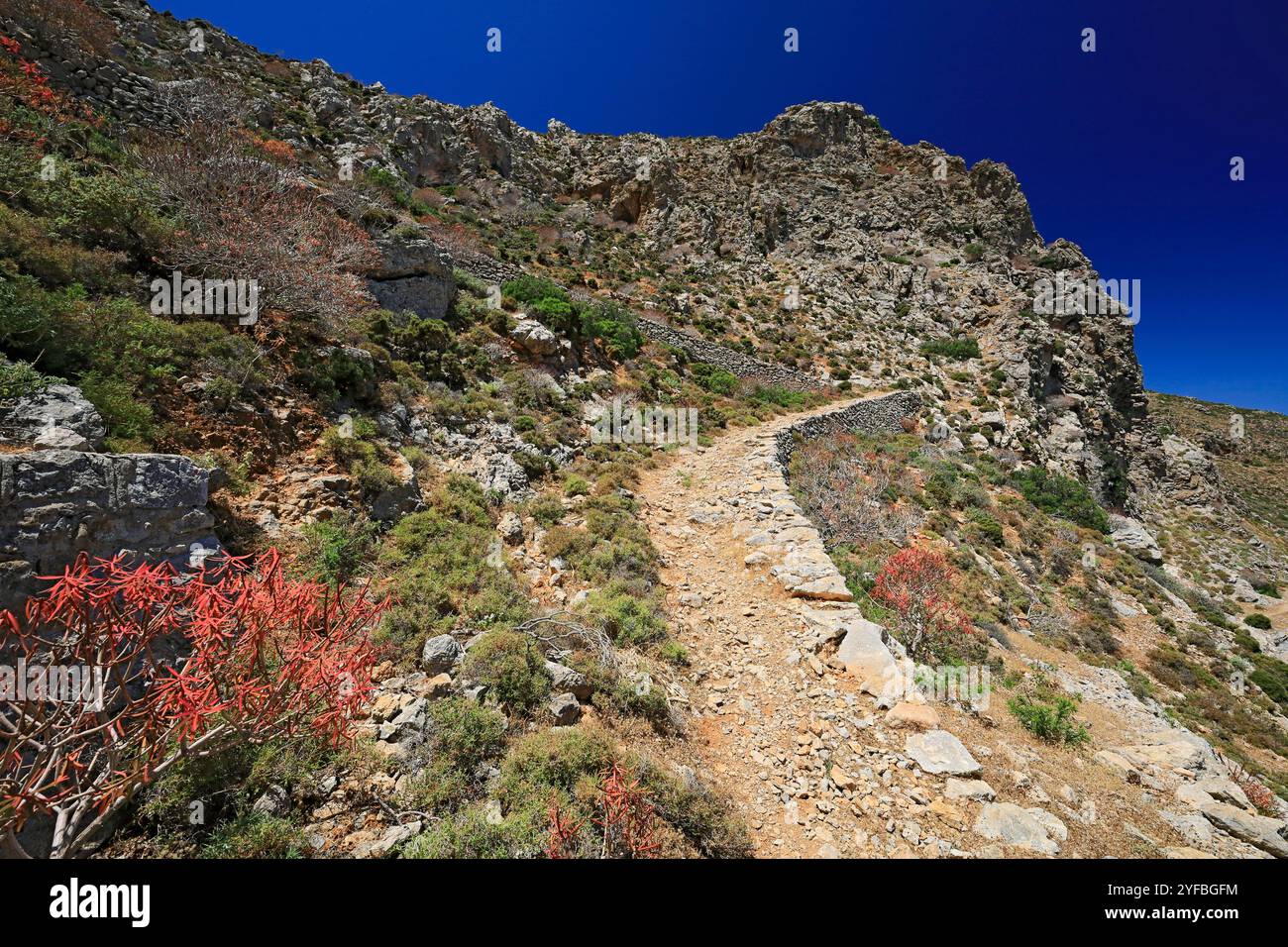 Wanderweg zwischen Livadia und Gera, im Frühling Tilos, Dodekanesische Inseln, südliche Ägäis, Griechenland. Stockfoto