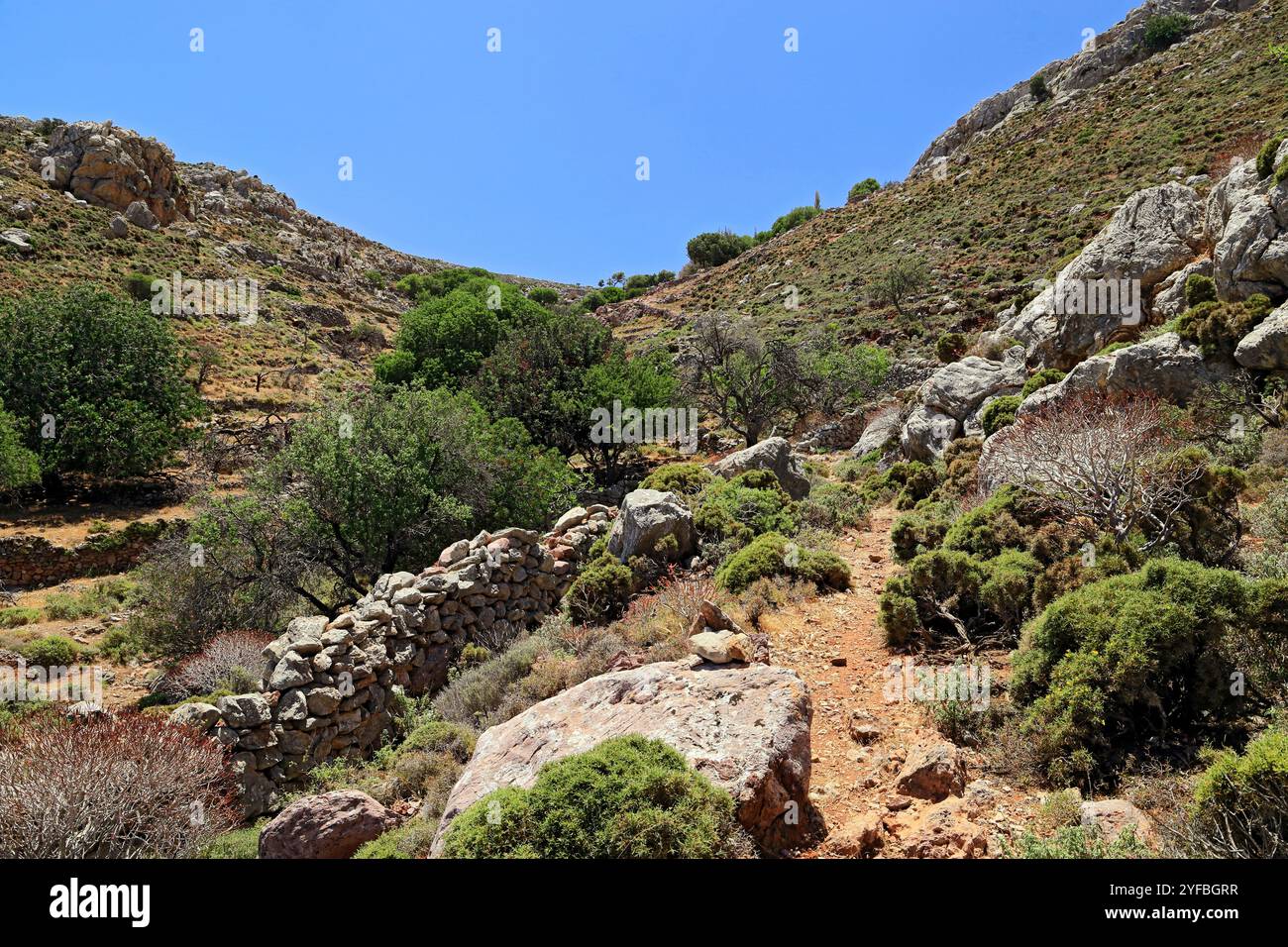 Fußweg nach Pano Meri, Tilos, Dodekanesische Inseln, südliche Ägäis, Griechenland. Stockfoto