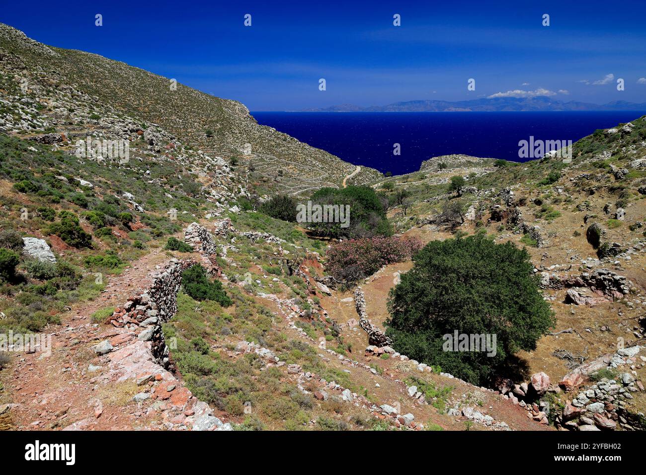 Fußweg nach Pano Meri, Tilos, Dodekanesische Inseln, südliche Ägäis, Griechenland. Stockfoto