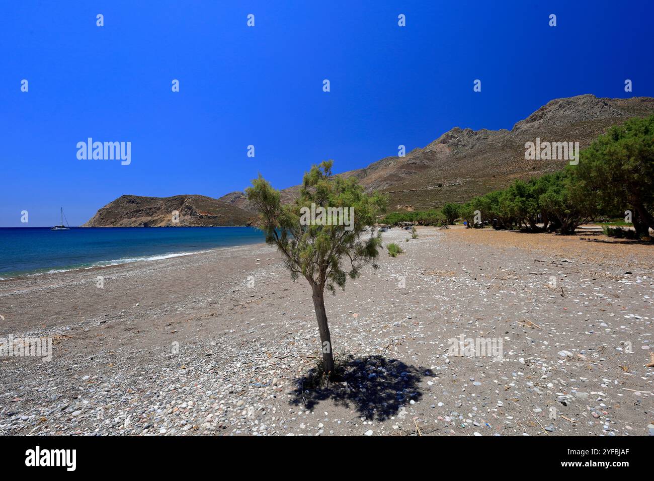Tamarisken, Eristos Beach, Tilos, Dodekanesische Inseln, südliche Ägäis, Griechenland. Stockfoto