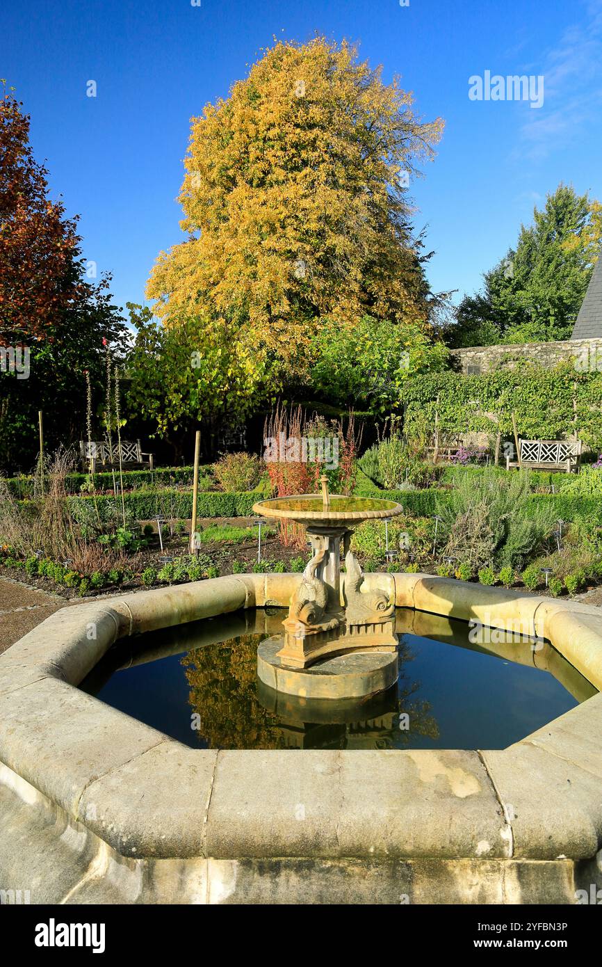 Herbstfarben, Physic Garden, Cowbridge, Vale of Glamorgan, Südwales, UK. Stockfoto