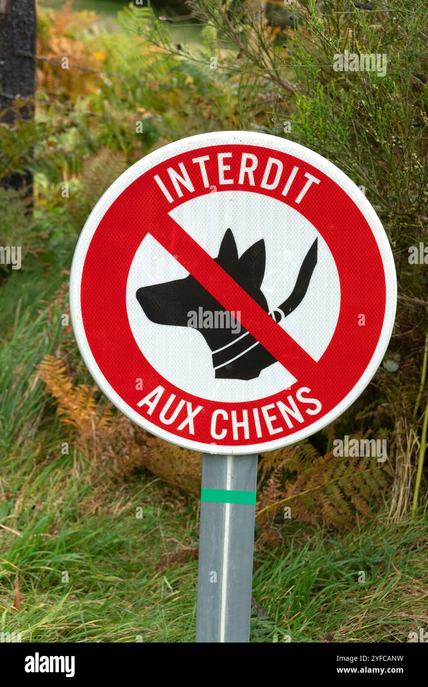 Ein rot-weißes Schild mit einer schwarzen Hundesilhouette und einer roten Linie durch das Schild mit der Aufschrift „Interdit aux Chiens“ in einem grünen grasbewachsenen Bereich. Frankreich Stockfoto