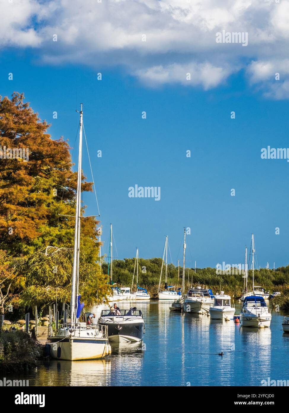 Boote auf dem Fluss Frome bei Wareham in Dorset. Stockfoto