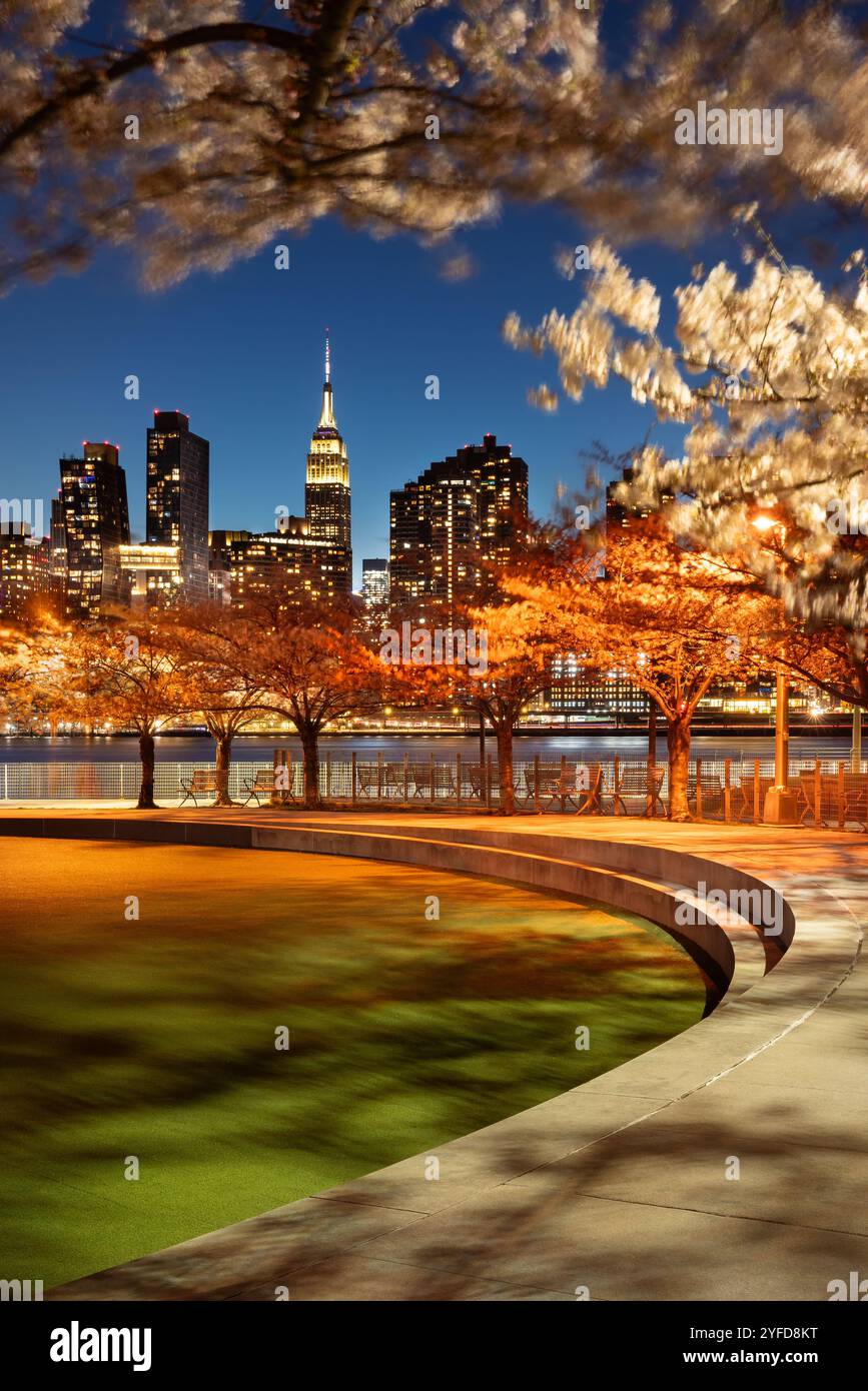 Hunter's Point South Park Kirschbäume und Manhattan Wolkenkratzer. Frühlingsabend in Long Island City. Queens, New York City Stockfoto