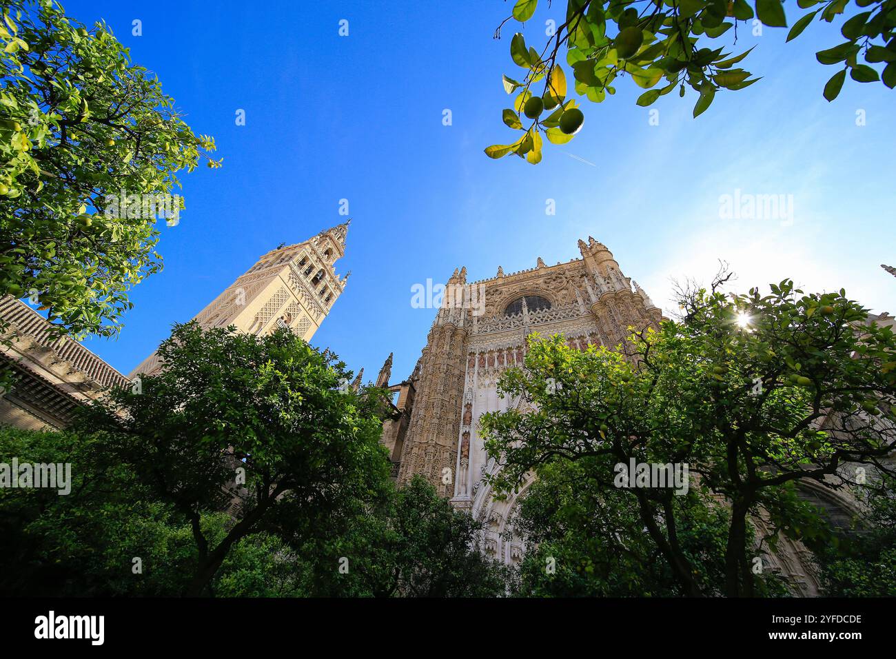 Kathedrale und Glockenturm von Sevilla. Stockfoto