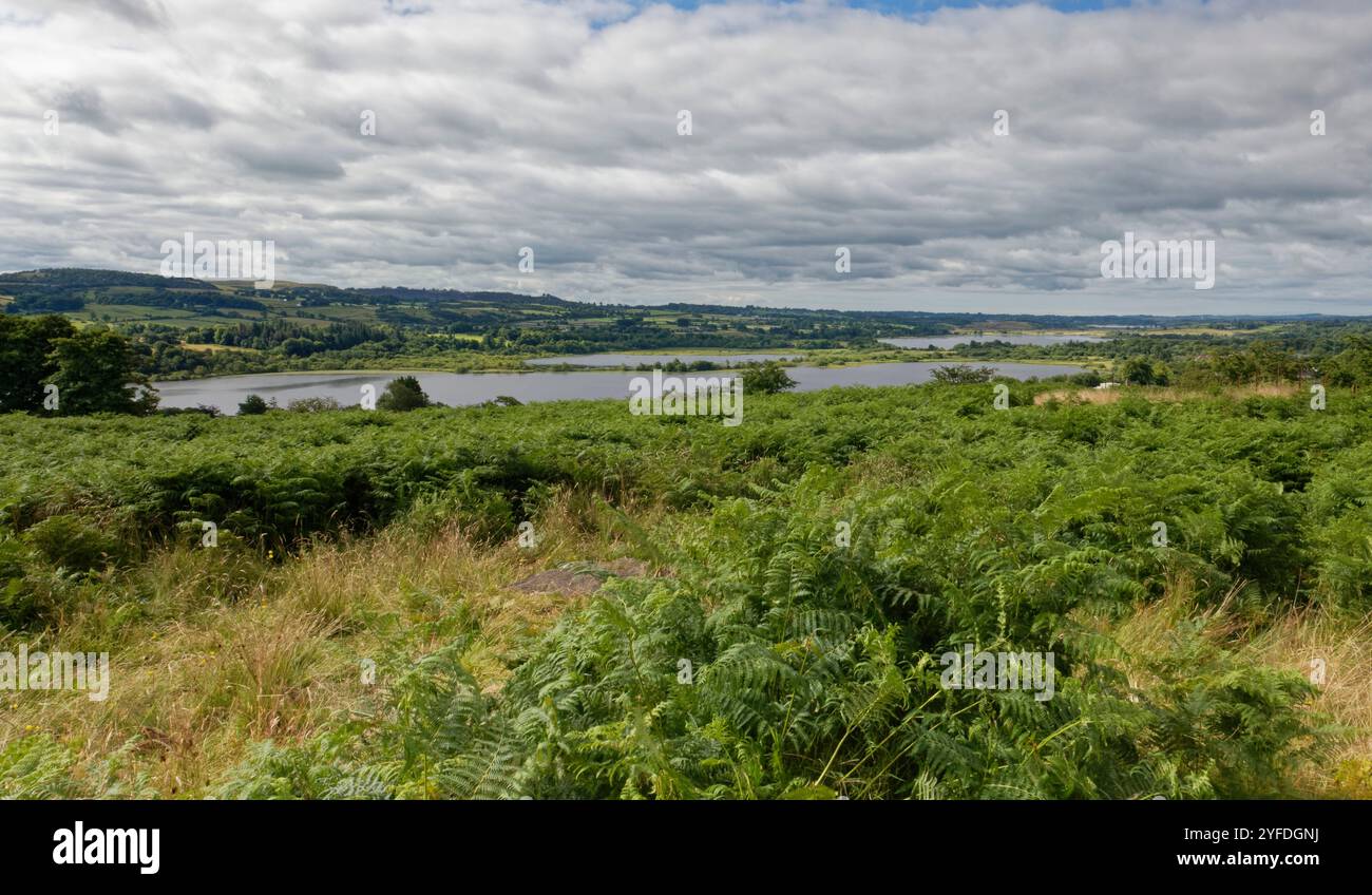 Überblick über Castle Semple Loch, mit Barr und Kilbirnie Lochs im Hintergrund, in der Nähe von Lochwinnoch, Renfrewshire, Schottland, Großbritannien, Juli. Stockfoto