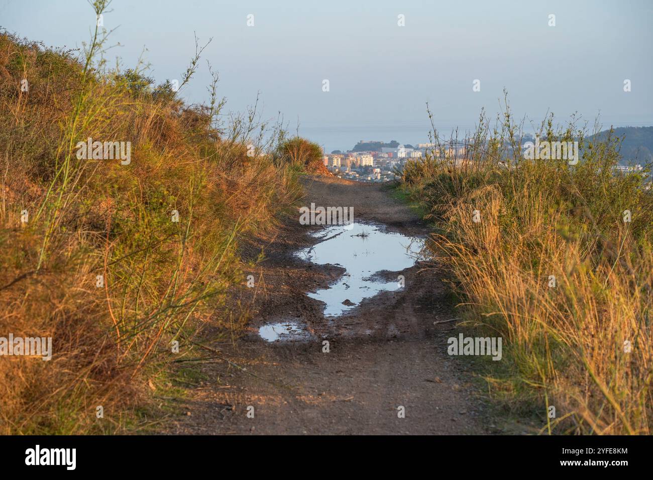 Schlamm-Pfütze mit Fahrzeugspuren auf einer Landstraße nach starkem Regen, Spanien. Stockfoto