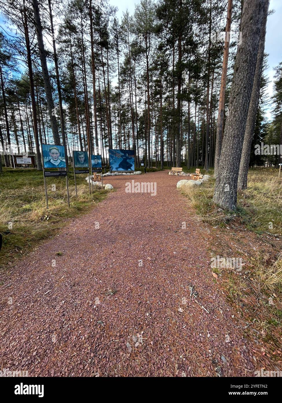 Ein einladender Waldweg führt durch eine friedliche Freiluftgalerie mit Porträts und Informationstafel über 2. Der Weltkrieg in Norwegen - Smartphone-aufgenommenes Stockfoto