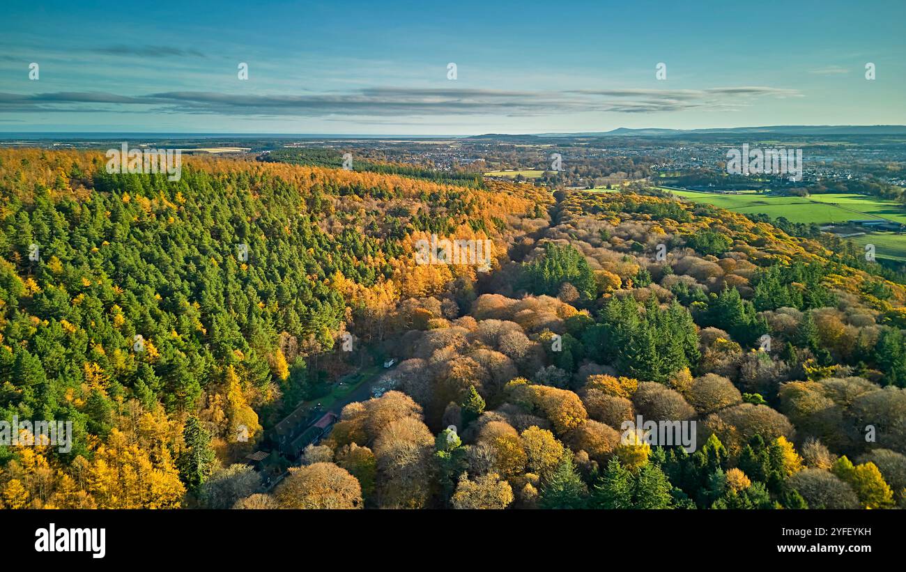 A96 West Road mit Blick auf Elgin Moray Schottland und umgeben von Buchen- und Lärchenbäumen in Herbstfarben Stockfoto