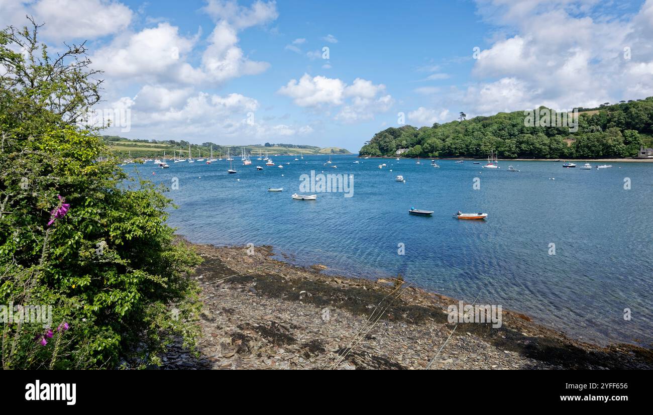 Segelyachten und kleine Motorboote, die in der Mündung des Helford River vor Anker liegen, von Helford Point aus gesehen, Cornwall, Großbritannien, Juni. Stockfoto