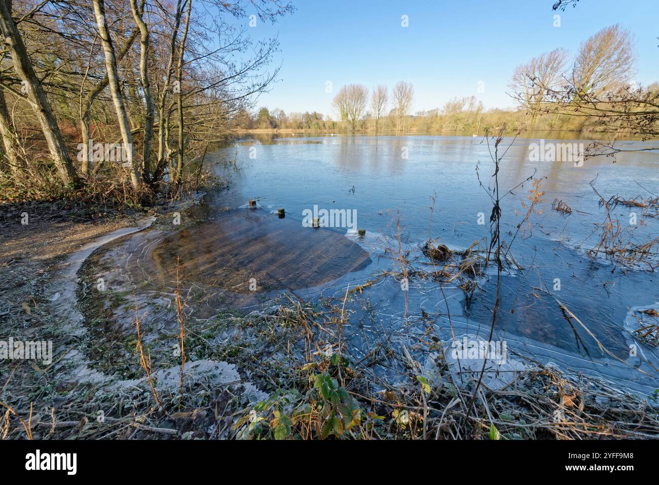 Gefrorener Rand des Brockbank Lake, im Naturschutzgebiet Langford Lakes des Wiltshire Wildlife Trust, Wylye Valley, Wiltshire, Großbritannien, Januar. Stockfoto