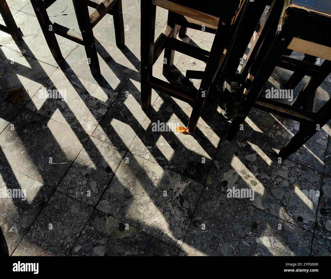 Capture Nature: Gefallene braune Blätter, umrahmt von Barhocker Shadows auf Betonboden Stockfoto