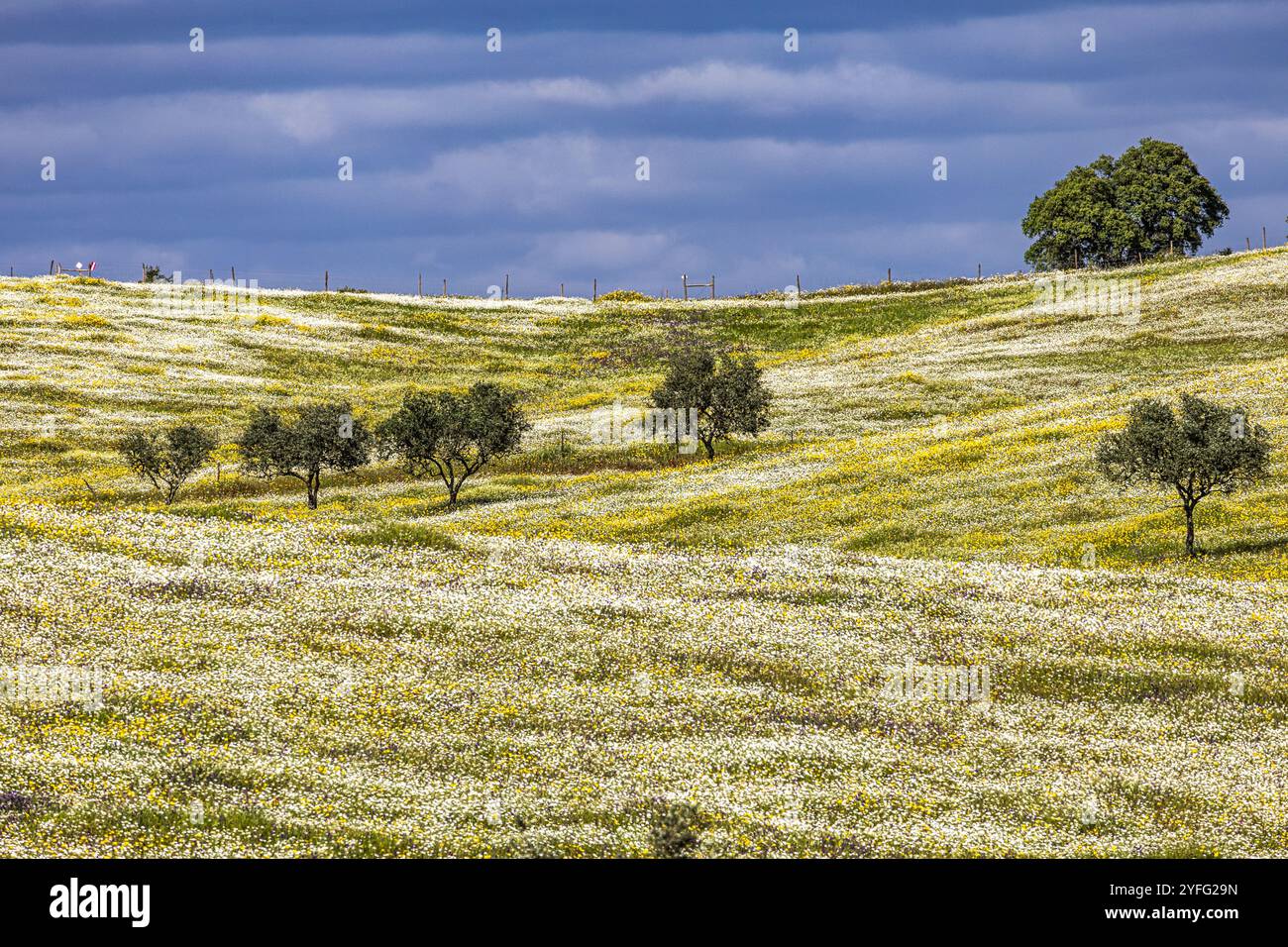 Wunderschöne Landschaft mit Wildblumenwiesen, Flüssen und Wasserfällen im Parque Natural do Vale do Guadiana, in der Nähe von Mertola, Portugal, Alentejo Stockfoto