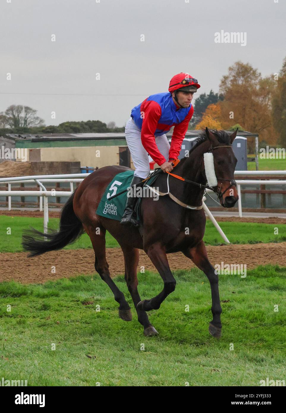 Die Royal Racecourse, Lisburn, Nordirland. November 2024. Ladbrokes Festival of Racing (Tag 1) - die BOTTLEGREEN HÜRDE (KLASSE 3). Rennpferd Breagagagh (5) wurde von Jockey N Gault geritten und von S Michael Millar trainiert. Stockfoto