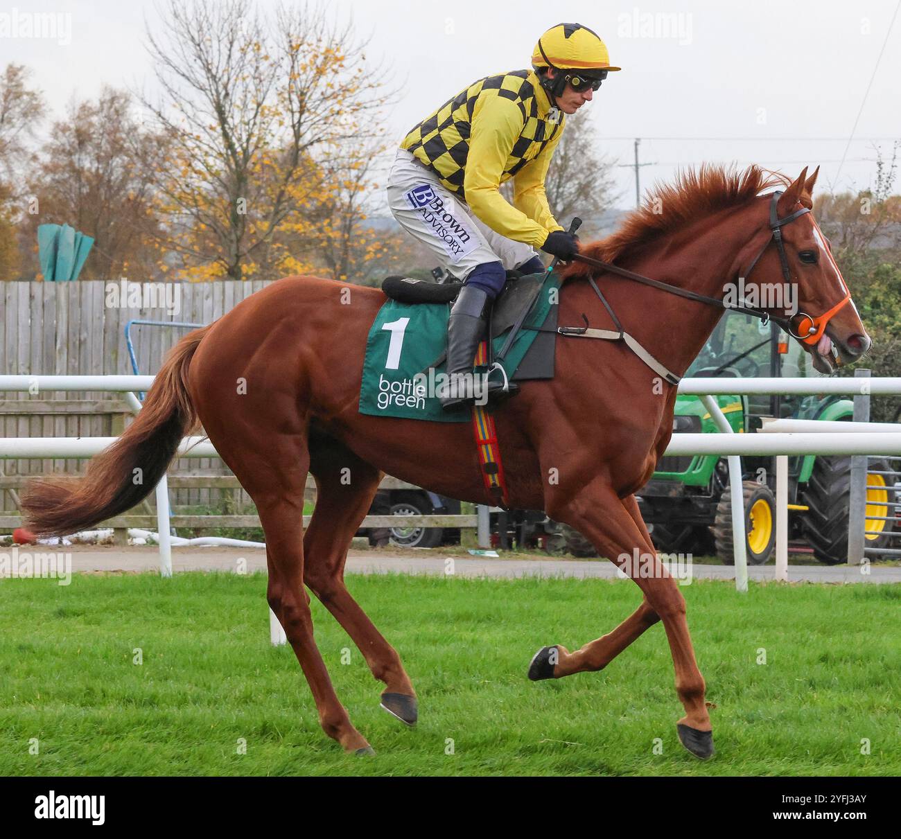 Die Royal Racecourse, Lisburn, Nordirland. November 2024. Ladbrokes Festival of Racing (Tag 1) - die BOTTLEGREEN HÜRDE (KLASSE 3). Rennpferd Daddy Long Legs (1) geritten von Jockey Paul Townend und trainiert von W P Mullins. Stockfoto