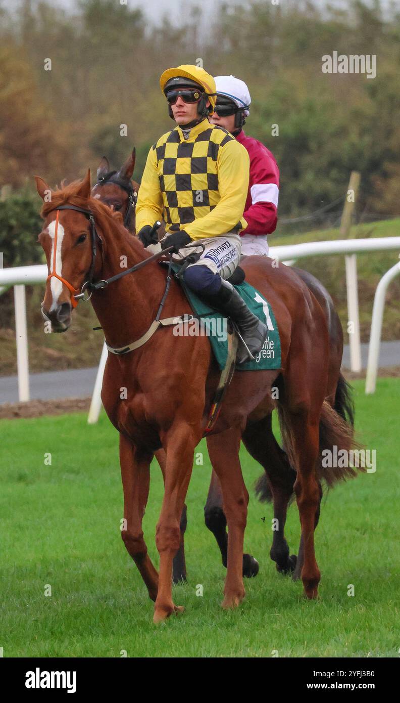 Die Royal Racecourse, Lisburn, Nordirland. November 2024. Ladbrokes Festival of Racing (Tag 1) - die BOTTLEGREEN HÜRDE (KLASSE 3). Rennpferd Daddy Long Legs (1) geritten von Jockey Paul Townend und trainiert von W P Mullins. Stockfoto