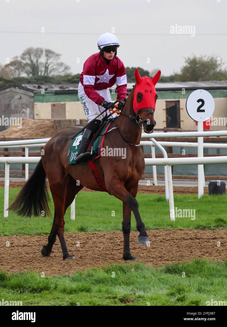 Die Royal Racecourse, Lisburn, Nordirland. November 2024. Ladbrokes Festival of Racing (Tag 1) - die BOTTLEGREEN HÜRDE (KLASSE 3). Rennpferd King of Kingsfield (4), geritten von Jockey Danny Gilligan und trainiert von Gordon Elliott. Stockfoto