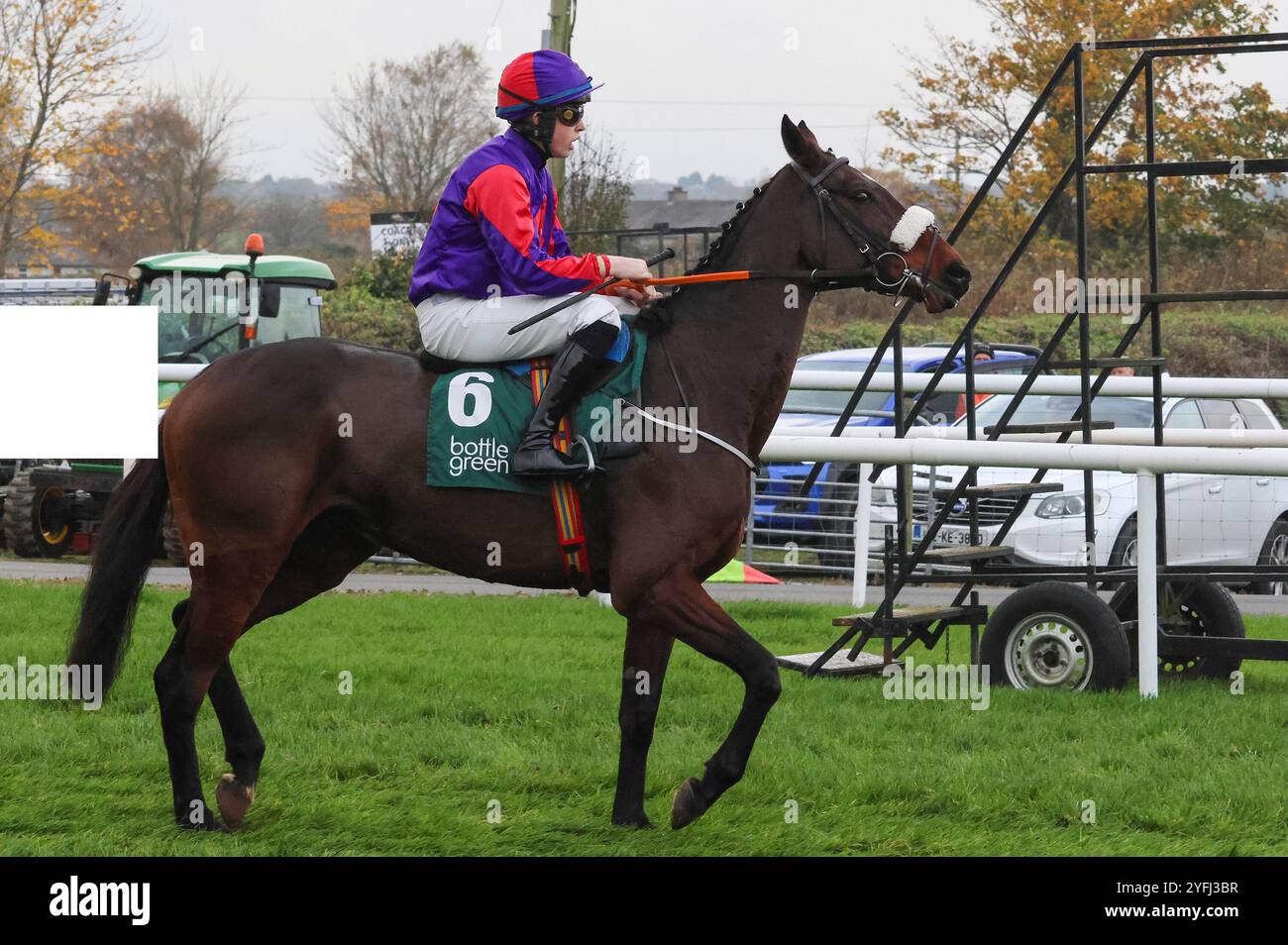 Die Royal Racecourse, Lisburn, Nordirland. November 2024. Ladbrokes Festival of Racing (Tag 1) - die BOTTLEGREEN HÜRDE (KLASSE 3). Rennpferd Miss Fourie (6), geritten von Jockey Jake Coen und trainiert von Peter Fahey. Stockfoto