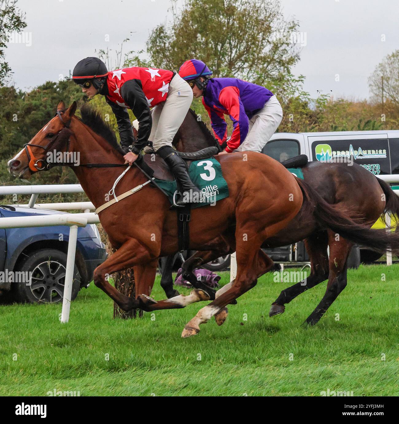 Die Royal Racecourse, Lisburn, Nordirland. November 2024. Ladbrokes Festival of Racing (Tag 1) - die BOTTLEGREEN HÜRDE (KLASSE 3). Rennpferd Smooth Tom (3), geritten von Jockey Cian Quirke und trainiert von Andrew Slattery. Stockfoto