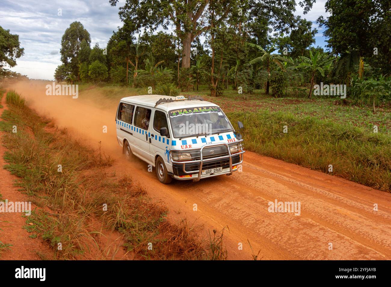 Ein Taxibus, auch bekannt als „Matatu“, fährt auf einer rötlichen Feldstraße in einer ländlichen Gegend Ugandas, umgeben von üppigem Grün. Stockfoto