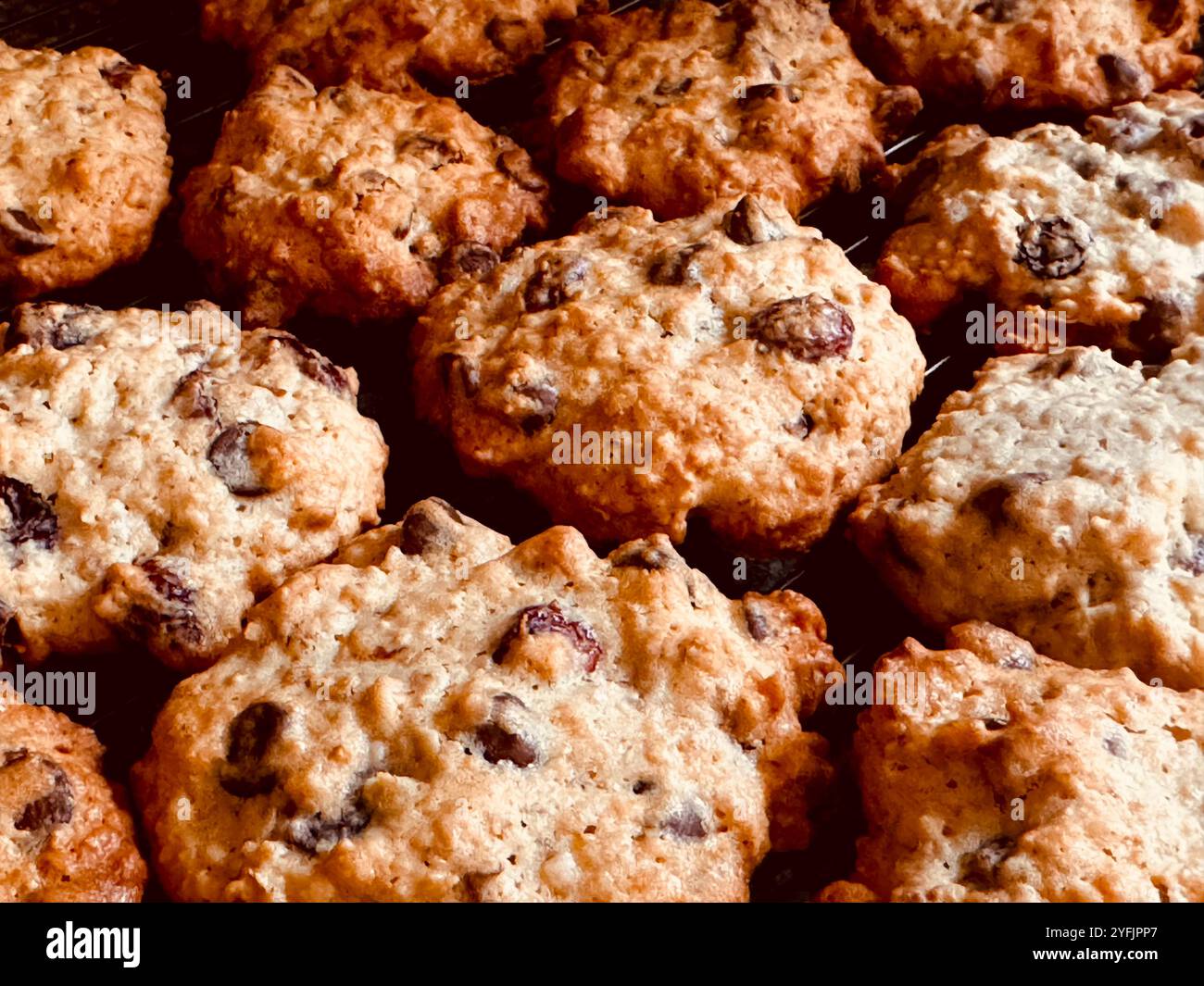 Lebensmittelfotografie - Haferflocken Cranberry Schokolade Walnusskekse aus nächster Nähe Stockfoto
