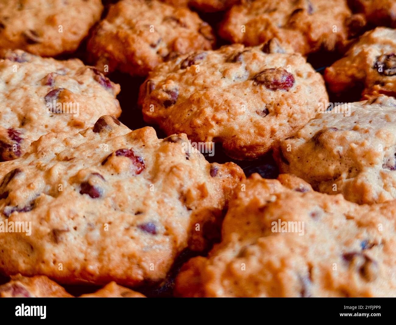 Lebensmittelfotografie - Haferflocken Cranberry Schokolade Walnusskekse aus nächster Nähe Stockfoto