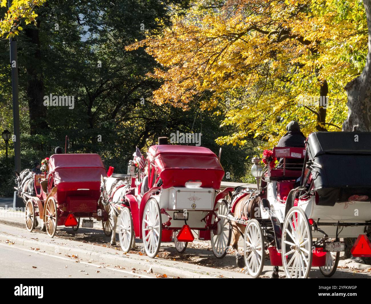 Touristen genießen Pferdefahrten im Central Park im Herbst, New York City, USA Stockfoto