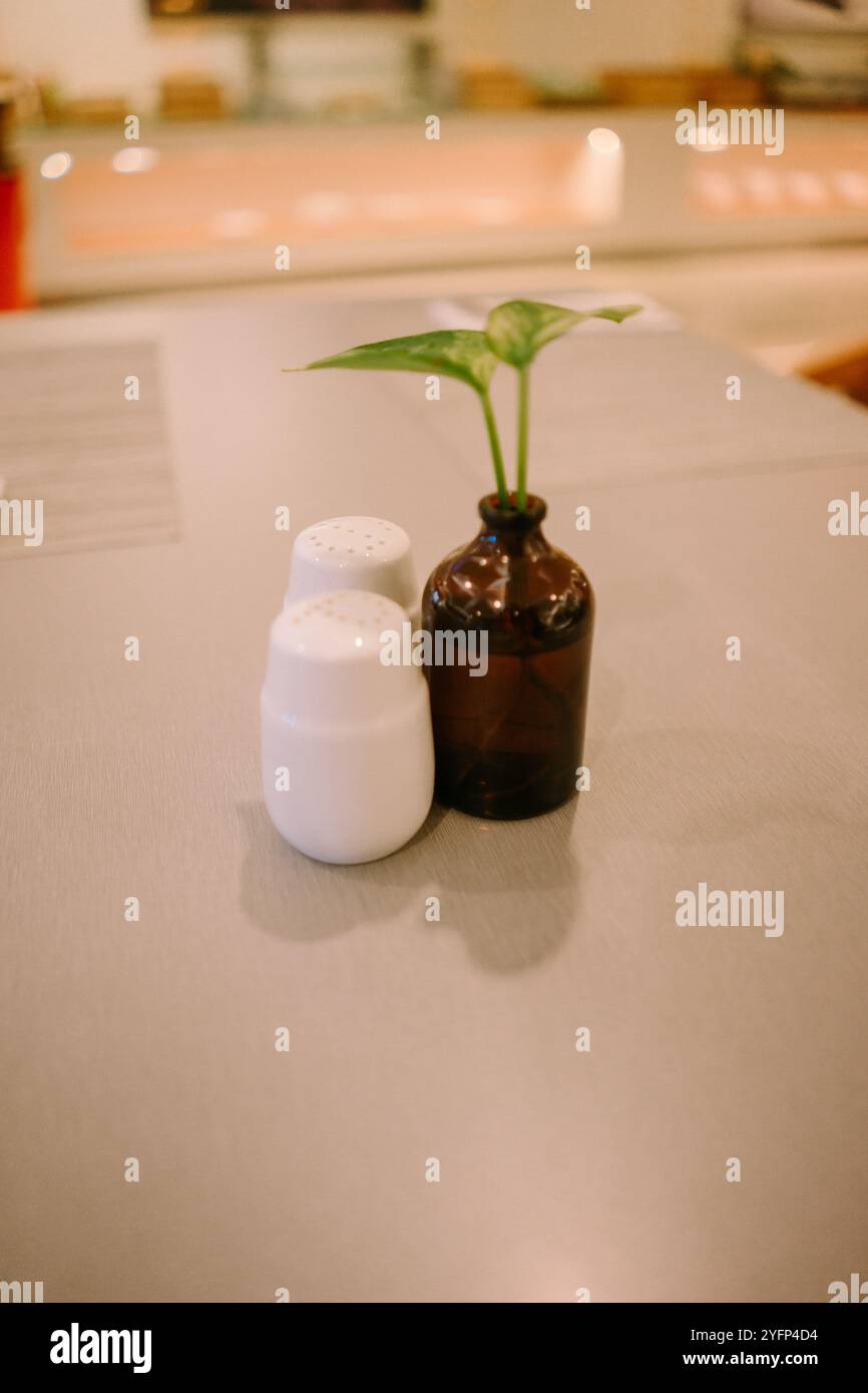 Tischdekor mit einer kleinen Pflanze in einer winzigen Flasche und einem Mini-Salzstreuer auf einem Tisch im Hotelrestaurant, was dem Restaurant einen charmanten Touch verleiht Stockfoto